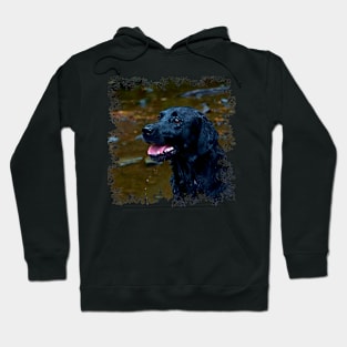 Black Lab Hoodie